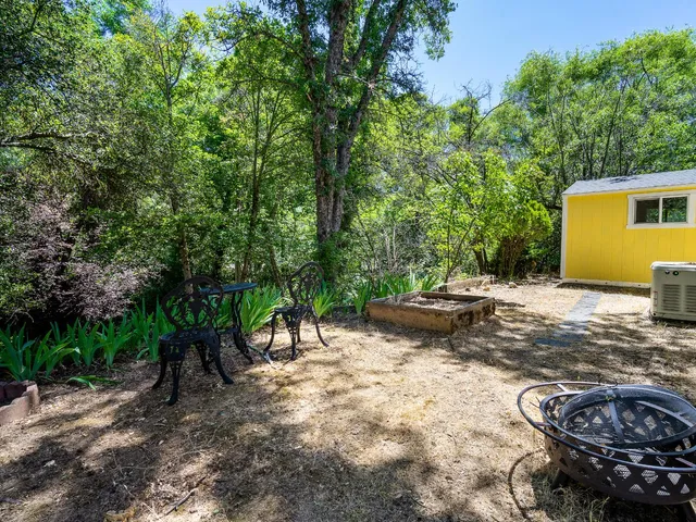 a view of a backyard with plants and trees