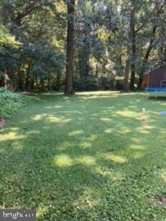 215 Haag Road Reading, PA 19606 - Photo 7 of 53 Back Yard