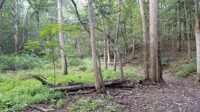 $65,000 | 4750 Hunsberger Avenue Northeast, Grand Rapids, MI 49525