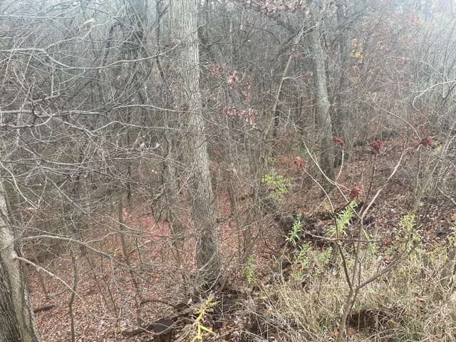 $65,000 | 4750 Hunsberger Avenue Northeast, Grand Rapids, MI 49525