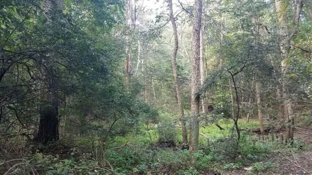 $65,000 | 4750 Hunsberger Avenue Northeast, Grand Rapids, MI 49525