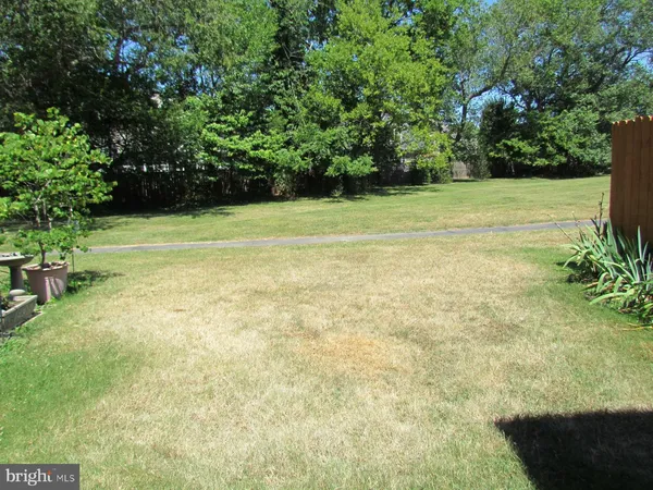 a view of a field with an trees