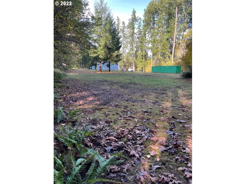 89086 Knight Road Noti, OR 97461 - Photo 13 of 20 Gallery Image 13