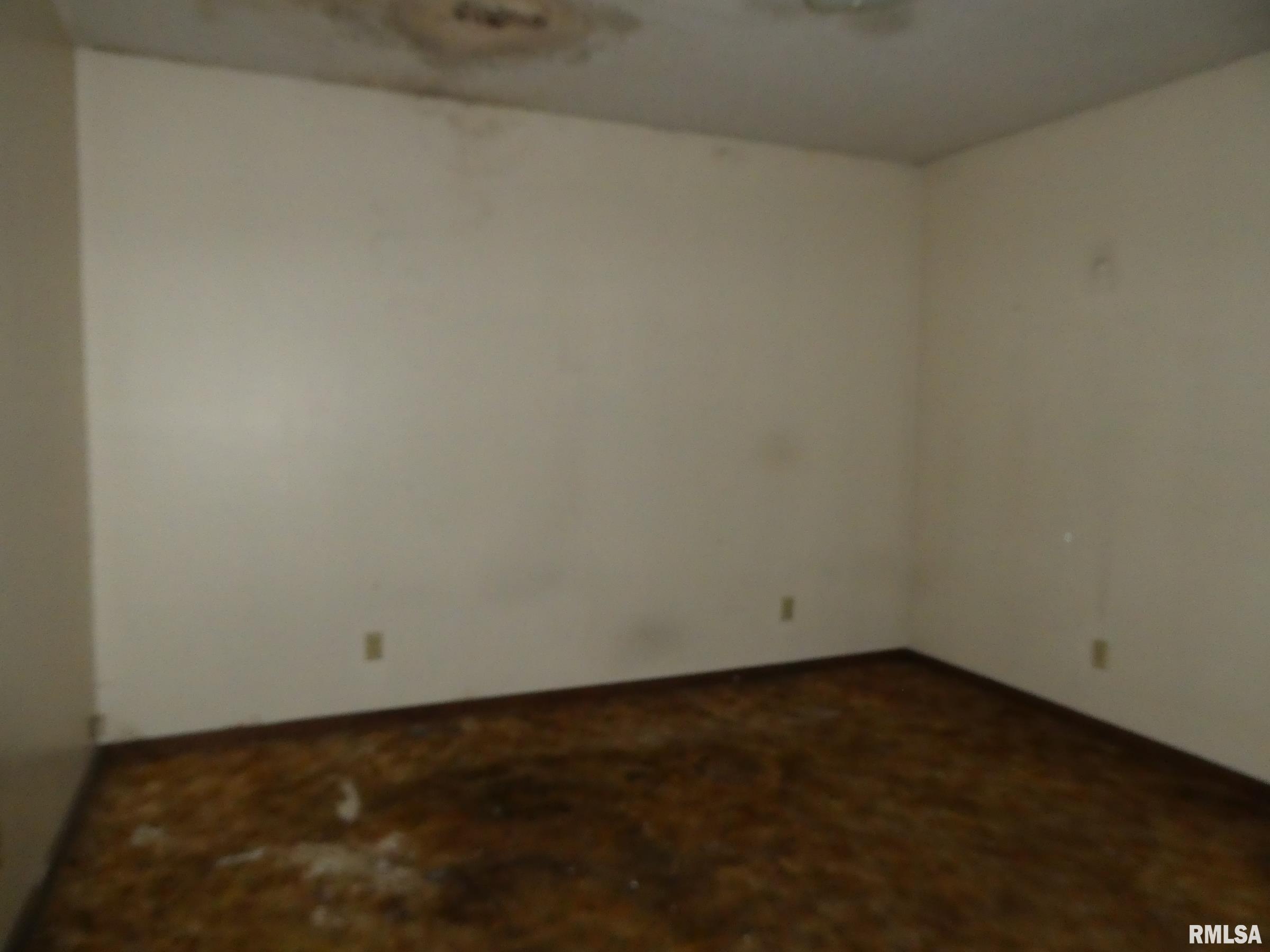 820 East Scarritt Street Springfield, IL 62703 - Photo 6 of 24 Gallery Image 6