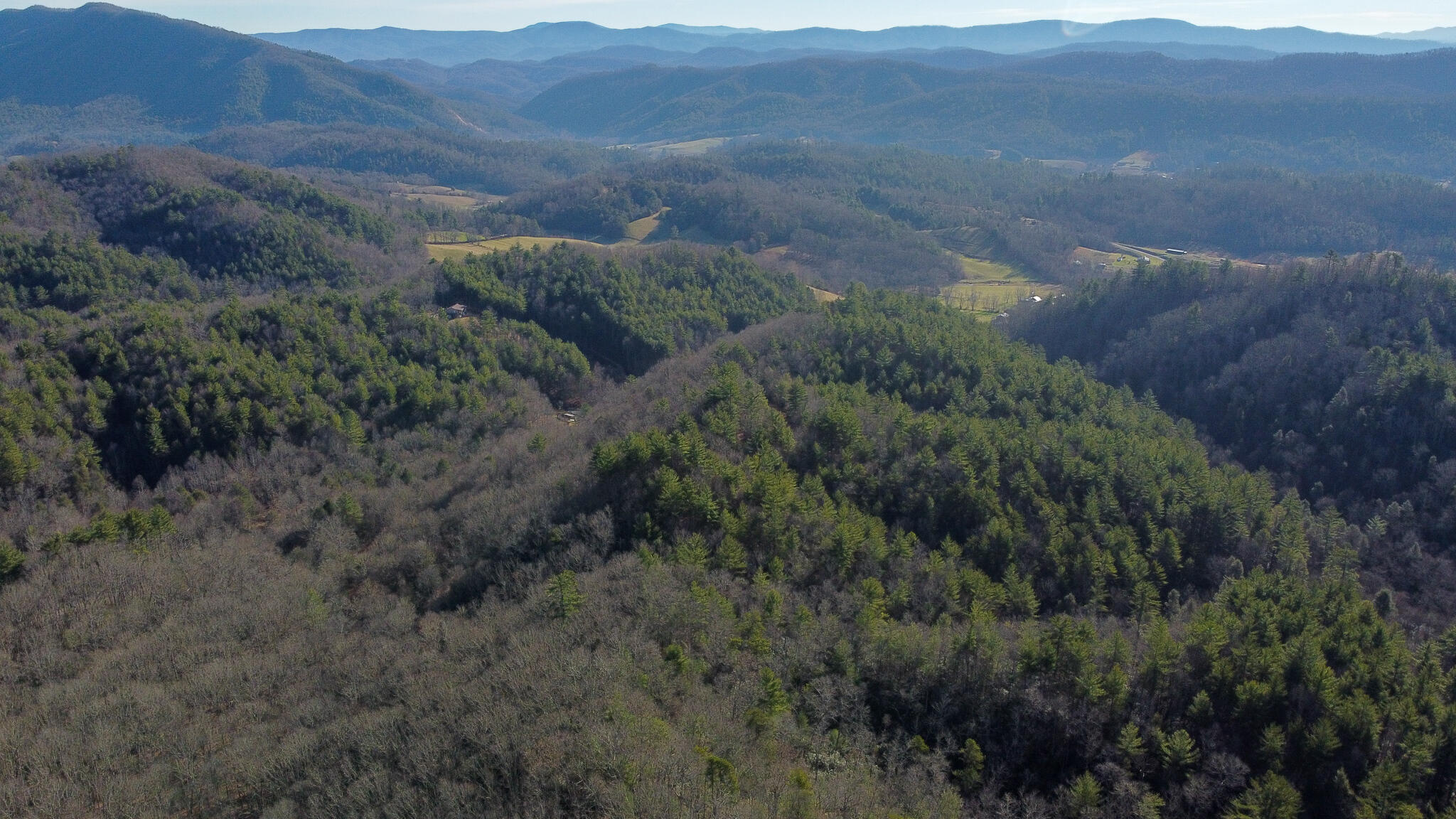 Tbd Jimmy Hollow Road Butler, TN 37640 - Photo 18 of 32 DJI_0567