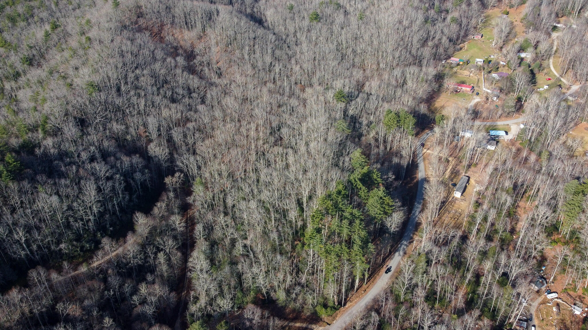 Tbd Jimmy Hollow Road Butler, TN 37640 - Photo 21 of 32 DJI_0559