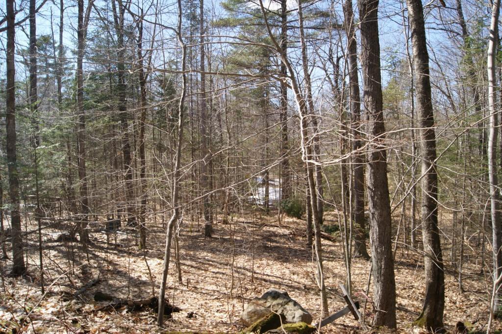 194 Jewett Road Pittston, ME 04345 - Photo 6 of 27 Photo