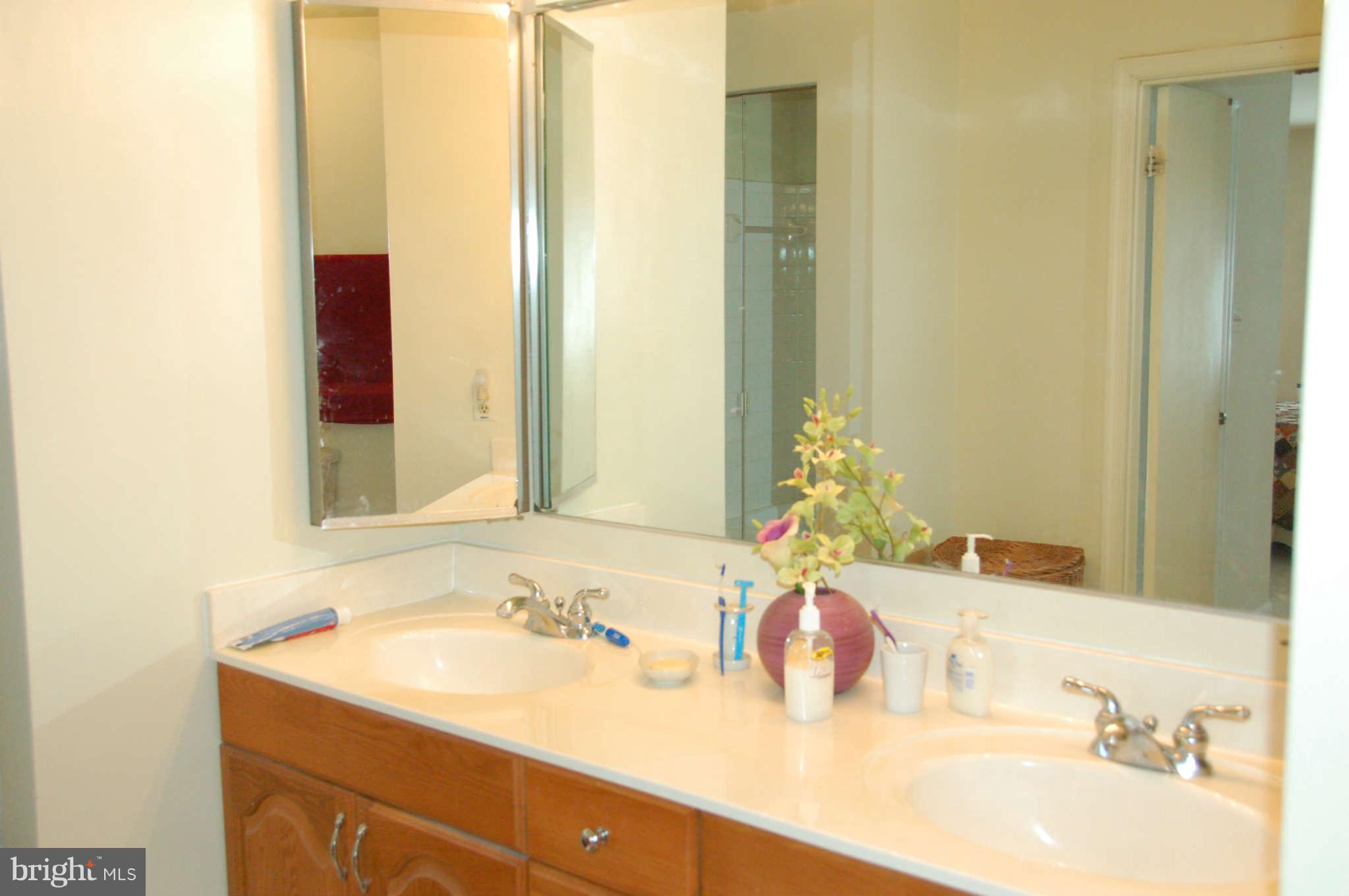 2228 Falling Creek Road Silver Spring, MD 20904 - Photo 19 of 30 Bath (Master) View Two
