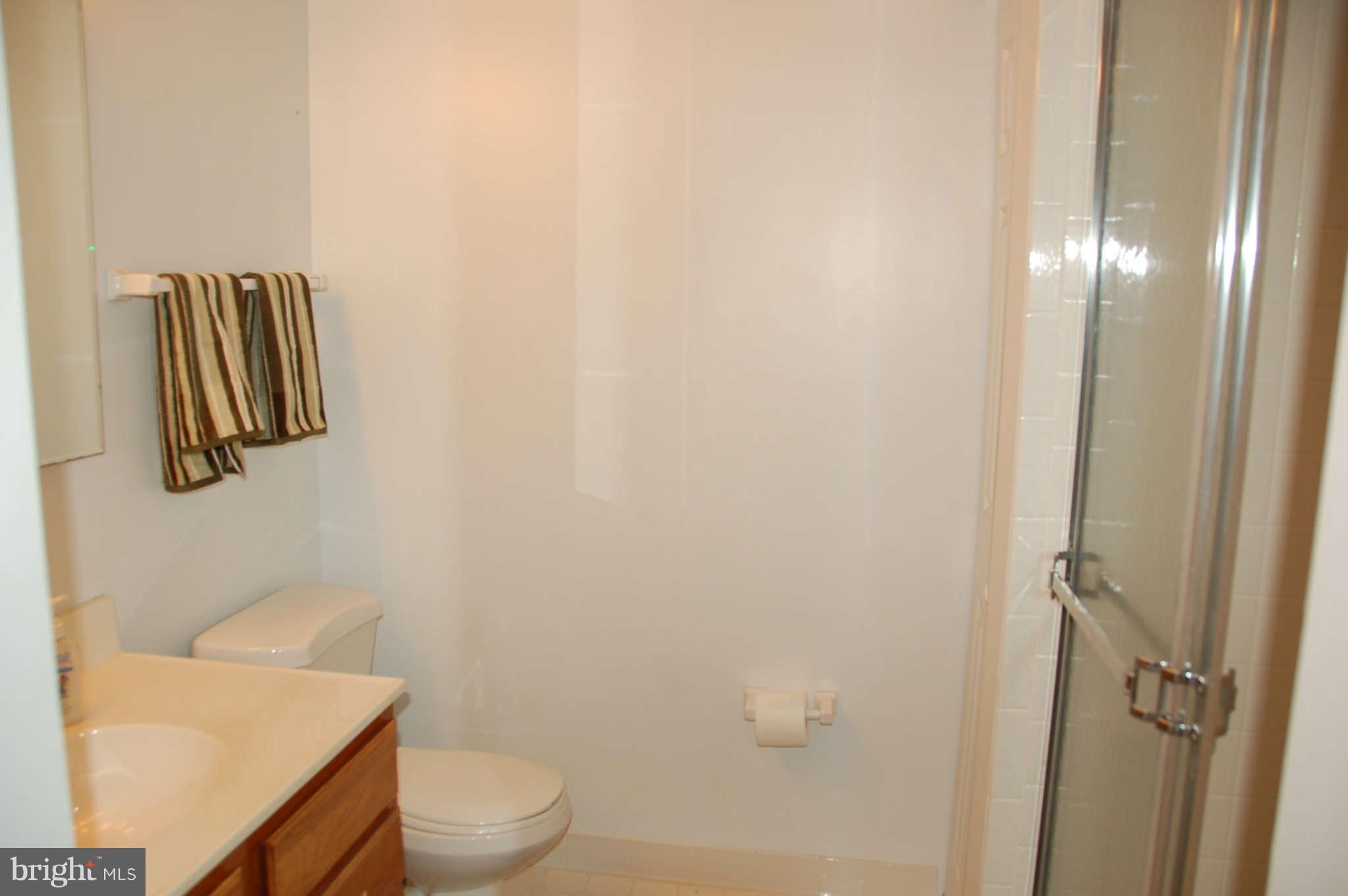 2228 Falling Creek Road Silver Spring, MD 20904 - Photo 26 of 30 Full Bath