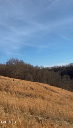$499,000 | 431 Strong Hollow Lane, Fort Blackmore, VA 24250