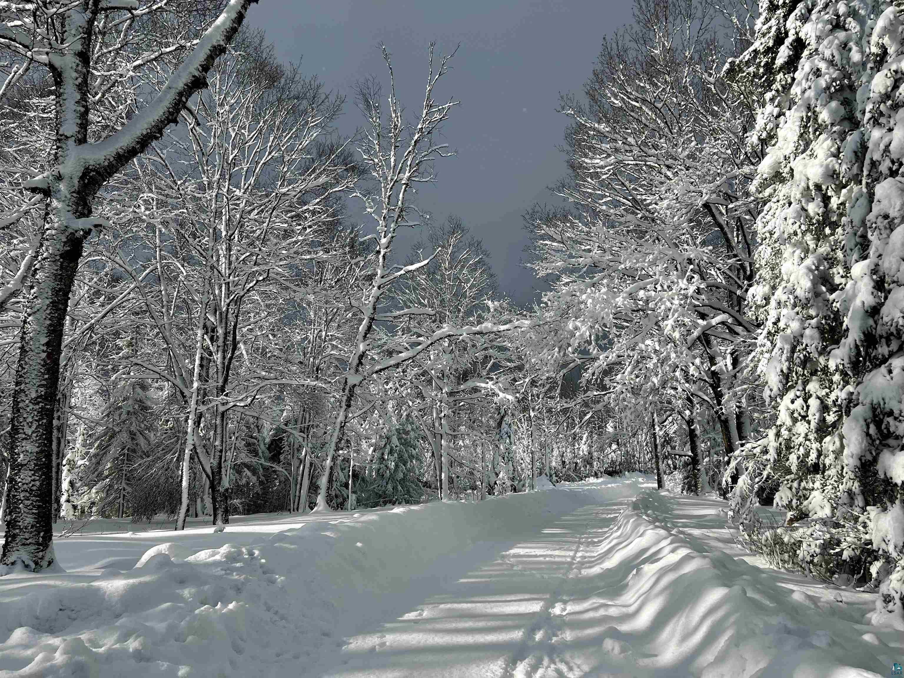 5274 Marble Lake Road Two Harbors, MN 55616 - Photo 72 of 79 Snow-covered path bordered by mature trees