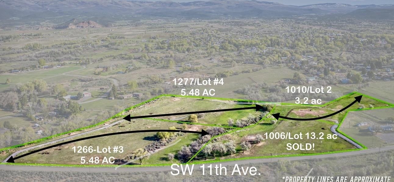 1010 Southwest 11th Avenue Cedaredge, CO 81413 - Photo 24 of 28