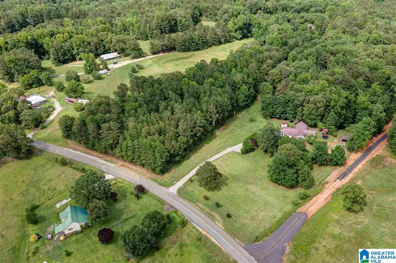12363 Bama Rock Garden Road Vance, AL 35490 - Photo 2 of 48