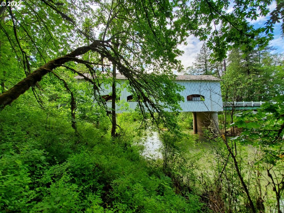 163 Rochester Bridge Road Oakland, OR 97462 - Photo 20 of 22 Gallery Image 20