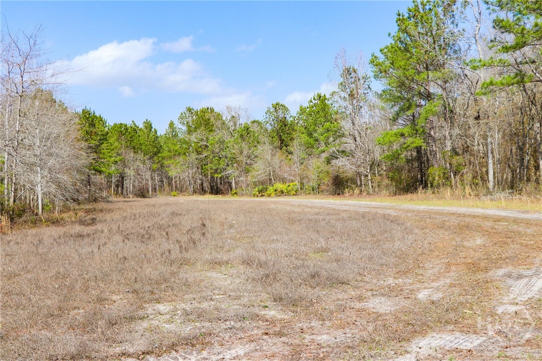 0 Tillman Eason Road Claxton, GA 30417 - Photo 14 of 28
