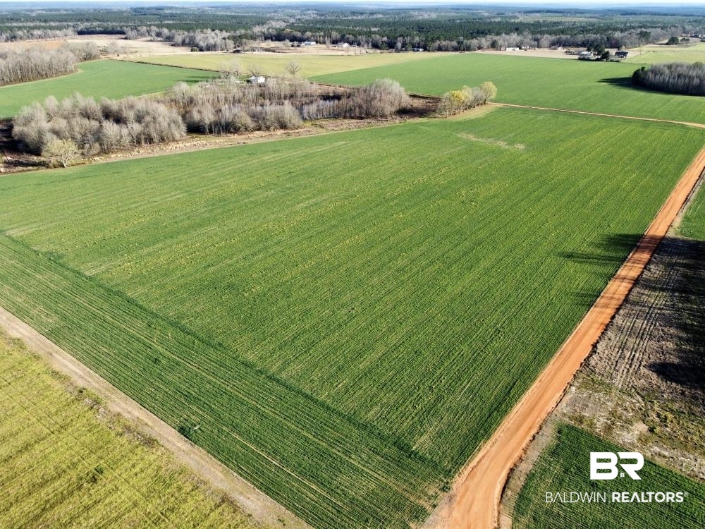 0 Byrd Road Atmore, AL 36502 - Photo 10 of 27 Gallery Image 10