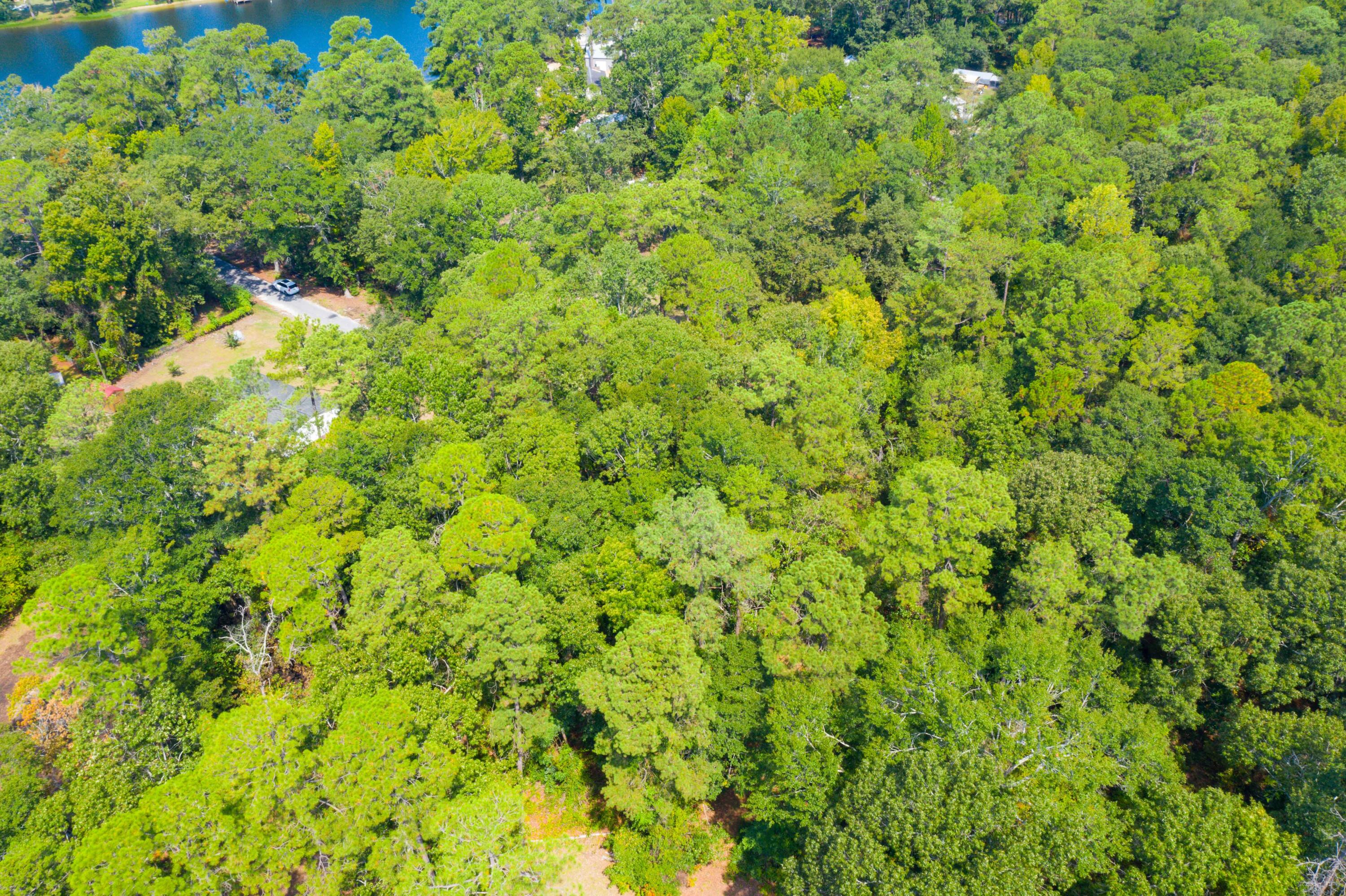 0 Delano Street Manning, SC 29102 - Photo 14 of 26 DJI_0863
