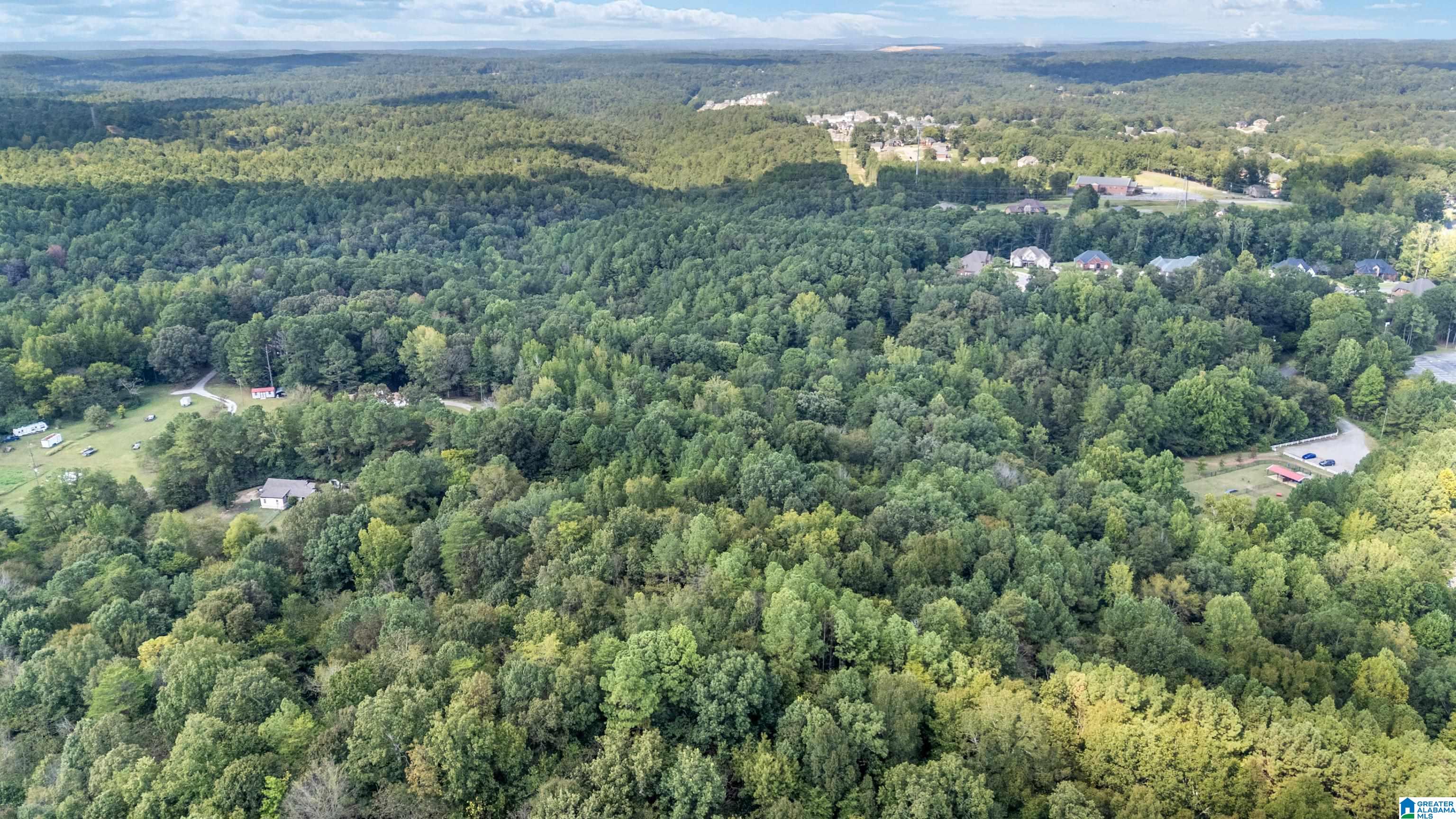 4339 Pine Ridge Road, Unit 1 Mount Olive, AL 35117 - Photo 11 of 34