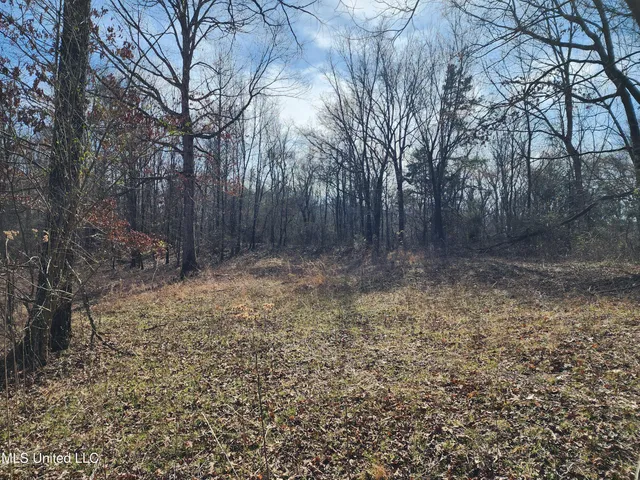 $304,000 | 0 Old Highway, Holly Springs, MS 38635