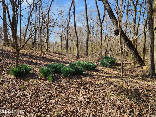 $304,000 | 0 Old Highway, Holly Springs, MS 38635