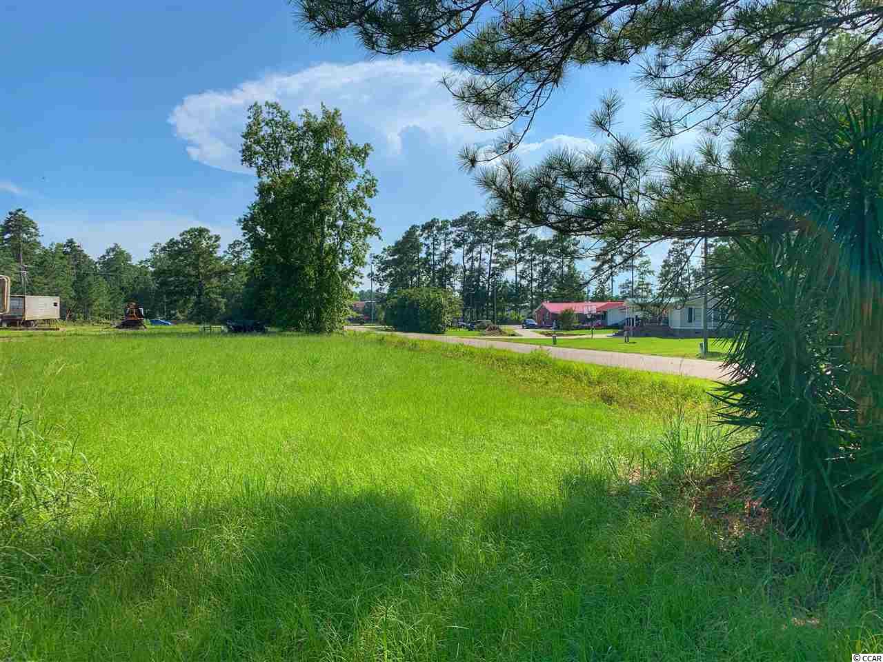 Tbd Salem Road Myrtle Beach, SC 29588 - Photo 2 of 8