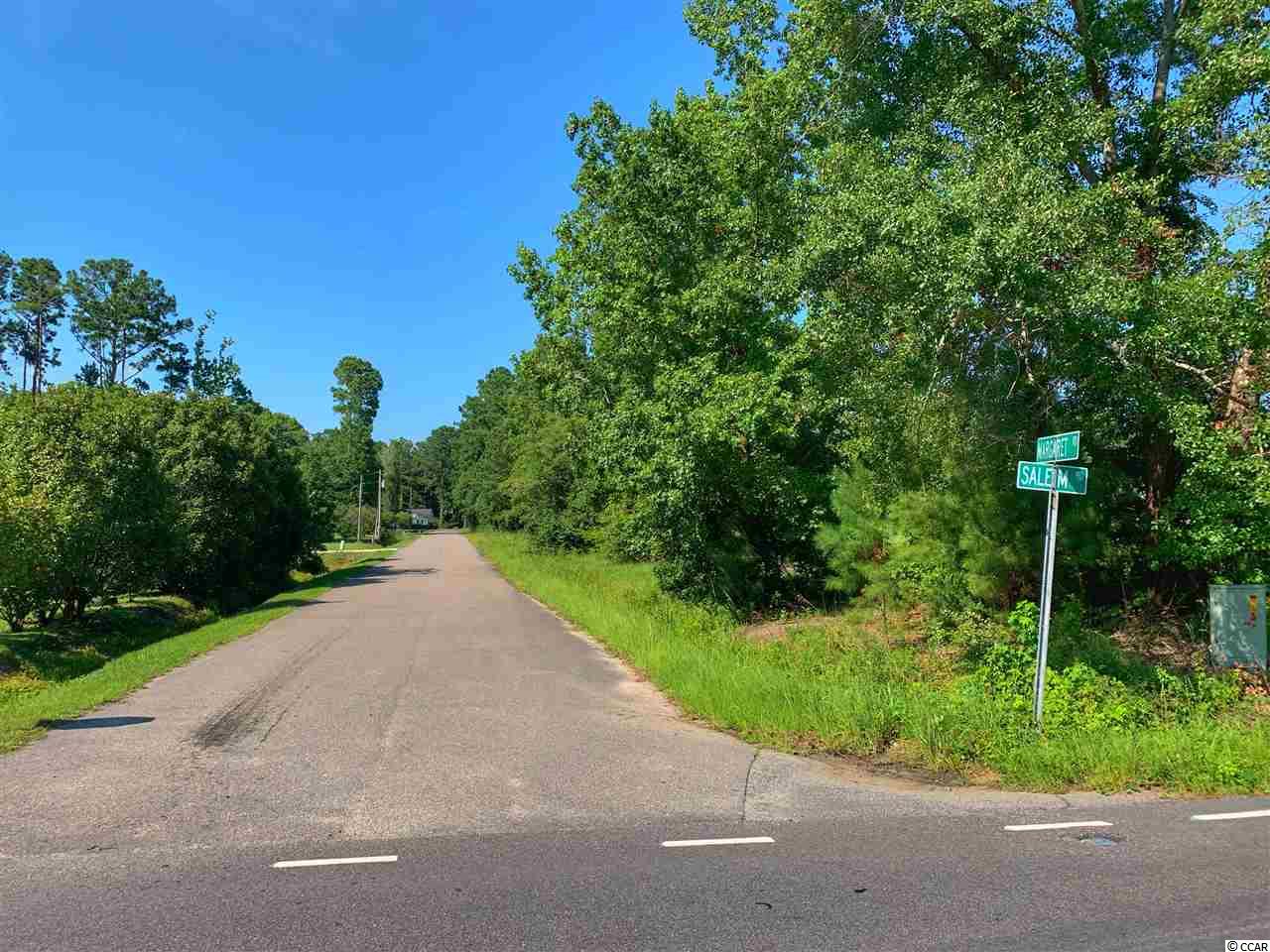 Tbd Salem Road Myrtle Beach, SC 29588 - Photo 4 of 8