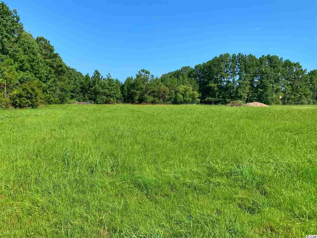 Tbd Salem Road Myrtle Beach, SC 29588 - Photo 8 of 8