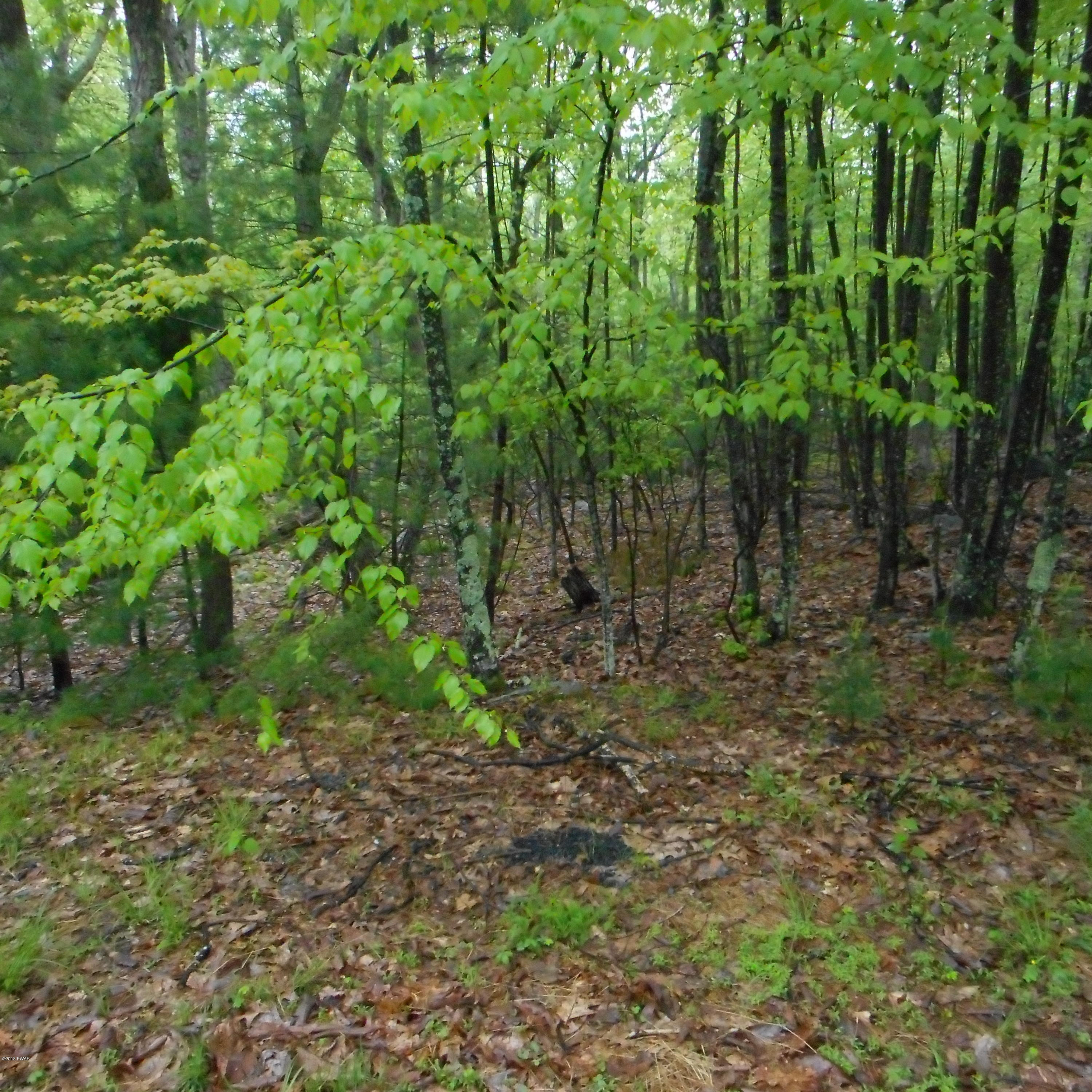 Hunters Lane Dingmans Ferry, PA 18328 - Photo 1 of 4