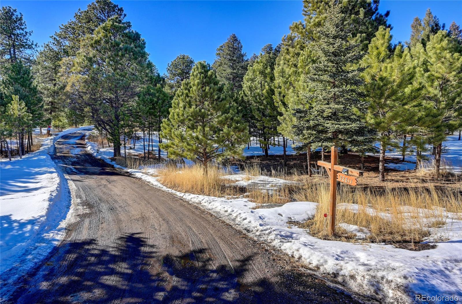32811 Buffalo Creek Road Evergreen, CO 80439 - Photo 35 of 39 Gallery Image 35