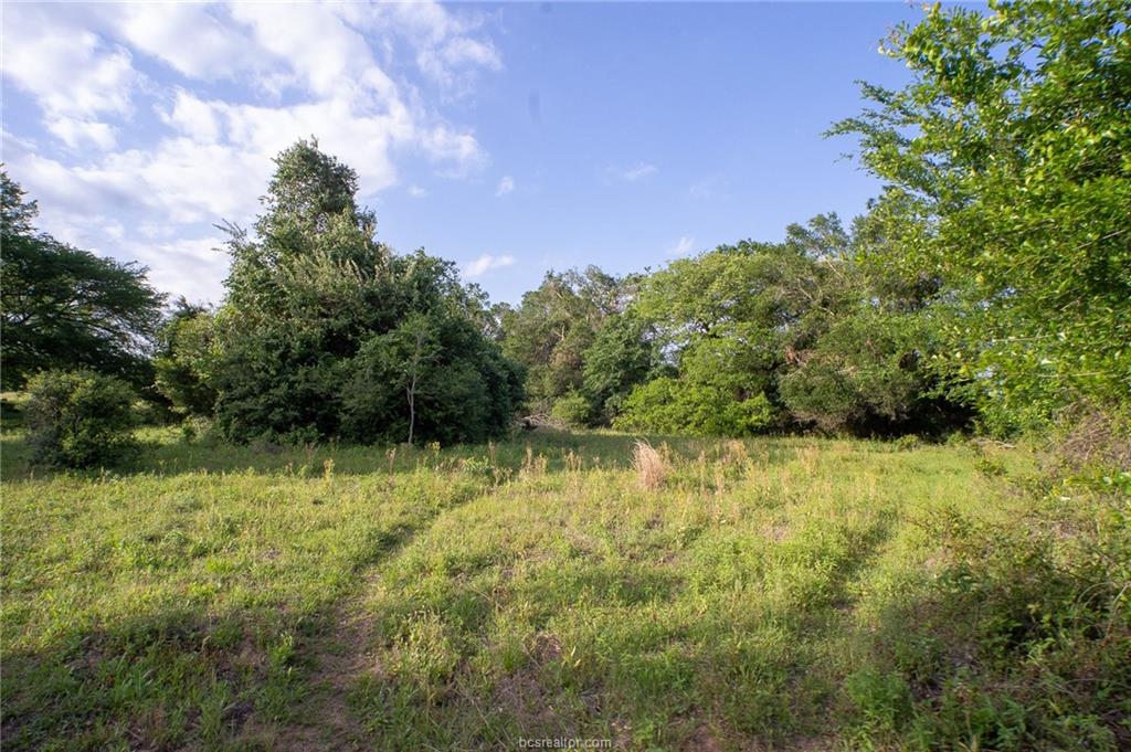 9525 South Hickory Loop Calvert, TX 77837 - Photo 6 of 20 View of tree filled area