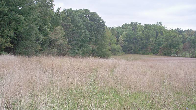 88 Pine Grove Road Lindside, WV 24951 - Photo 8 of 27 Fields in back front on Orchard Road