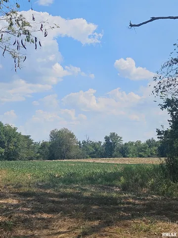 $262,000 | 0 Frisco Road, Ewing, IL 62836