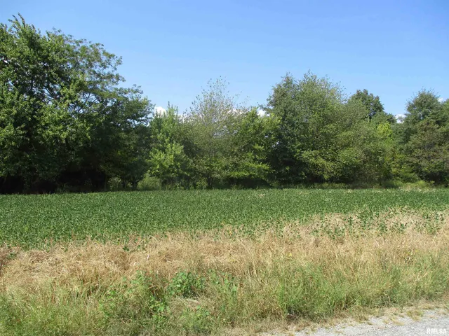 $262,000 | 0 Frisco Road, Ewing, IL 62836