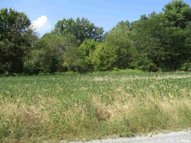 $262,000 | 0 Frisco Road, Ewing, IL 62836