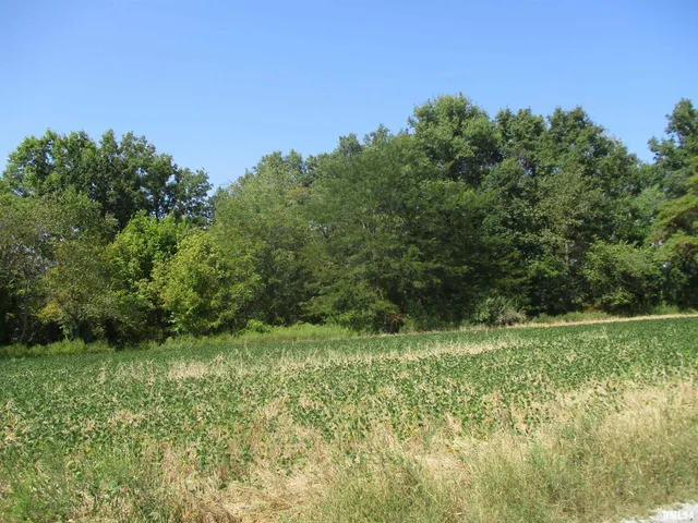 $262,000 | 0 Frisco Road, Ewing, IL 62836