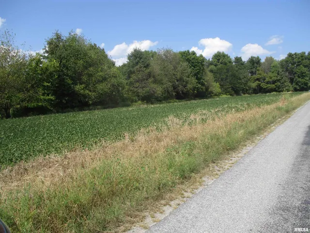 $262,000 | 0 Frisco Road, Ewing, IL 62836