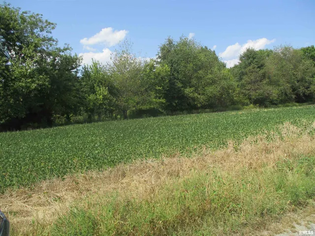 $262,000 | 0 Frisco Road, Ewing, IL 62836