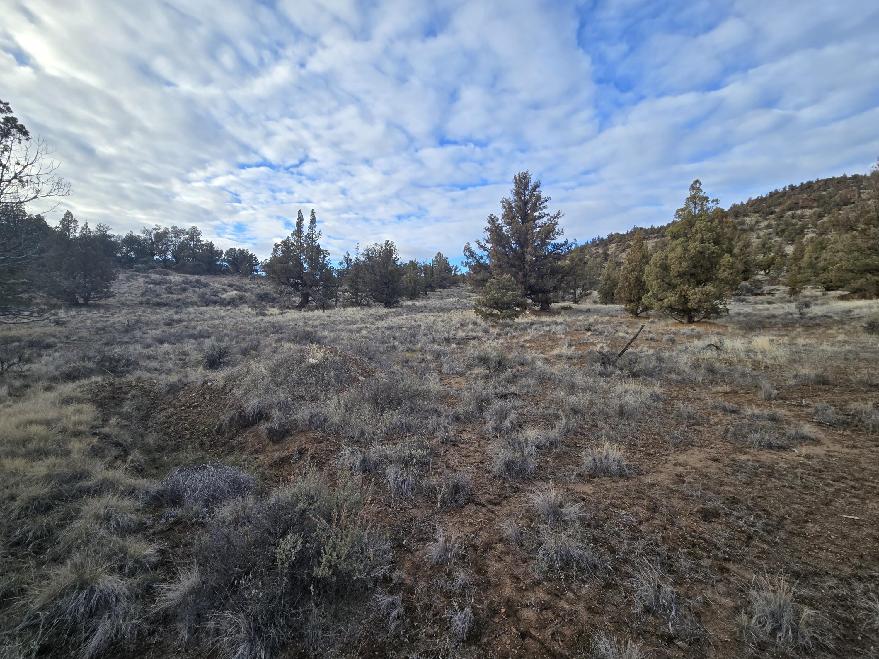 10068 Pavati Road, Unit LOT 37 Prineville, OR 97754 - Photo 2 of 10 20260211_160707