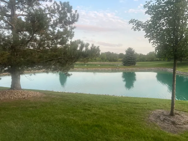 a view of a lake from a yard
