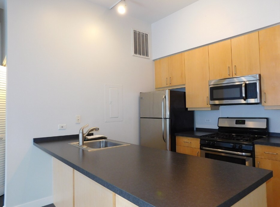939 West Madison Street, Unit 508 Chicago, IL 60607 - Photo 4 of 11