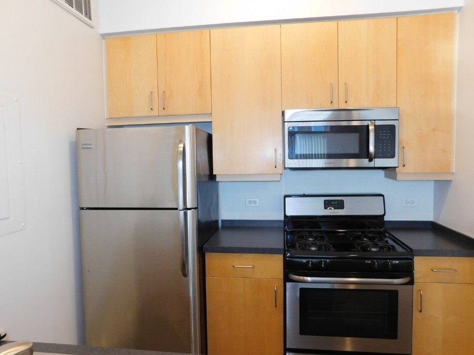 939 West Madison Street, Unit 508 Chicago, IL 60607 - Photo 5 of 11