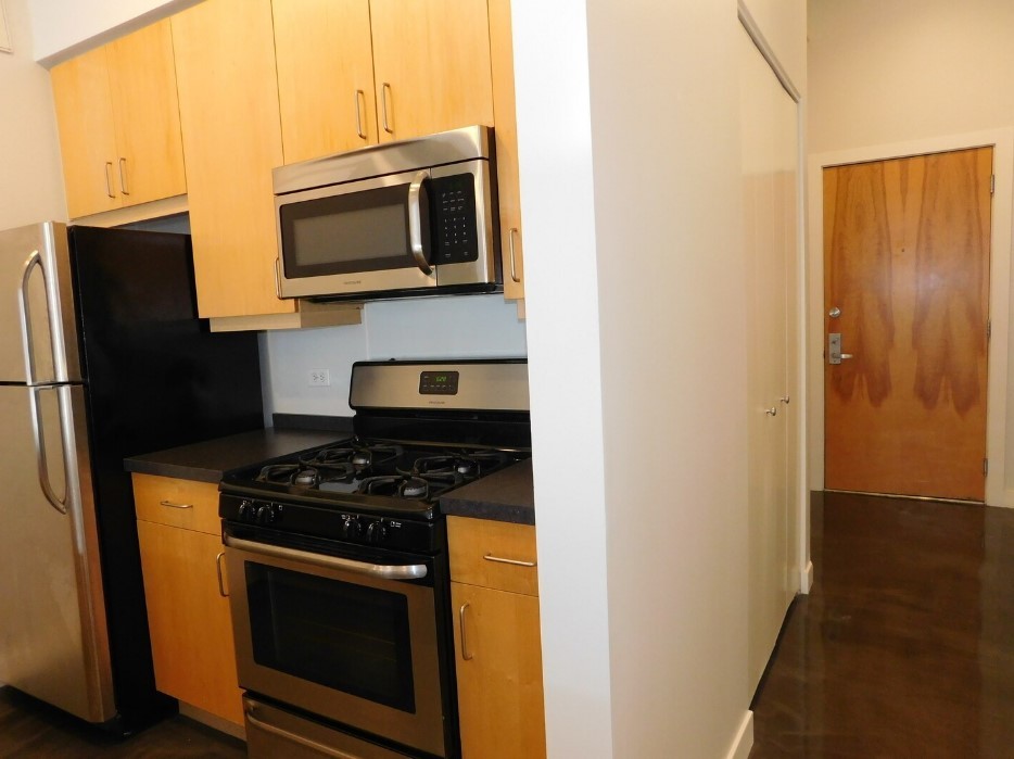 939 West Madison Street, Unit 508 Chicago, IL 60607 - Photo 6 of 11