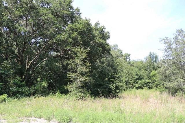 5734 Round Lake Road Apopka, FL 32712 - Photo 1 of 1 Gallery Image 1