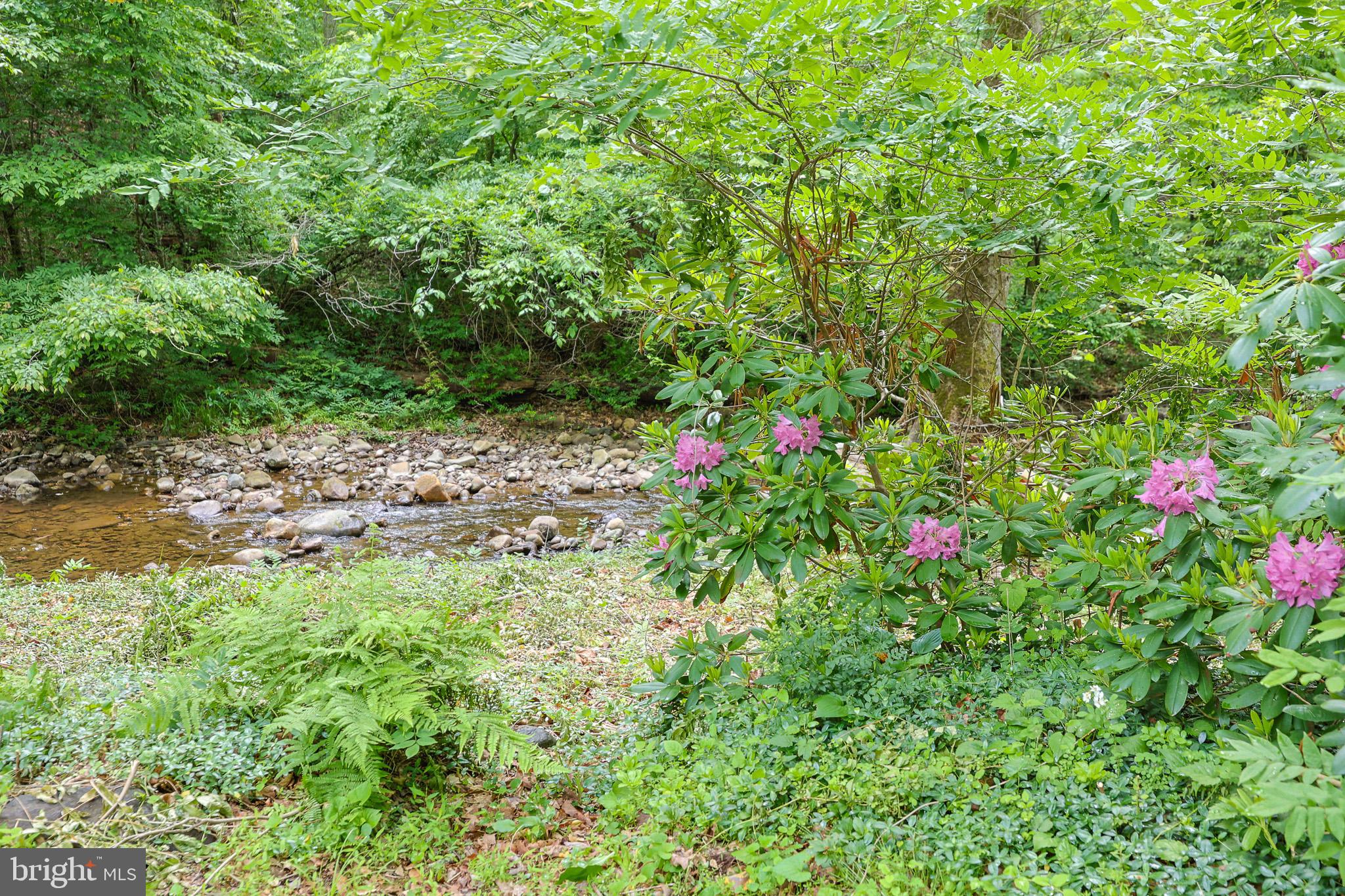 98 Swindler Hollow Road Sperryville, VA 22740 - Photo 24 of 25 a view of a flower in a garden