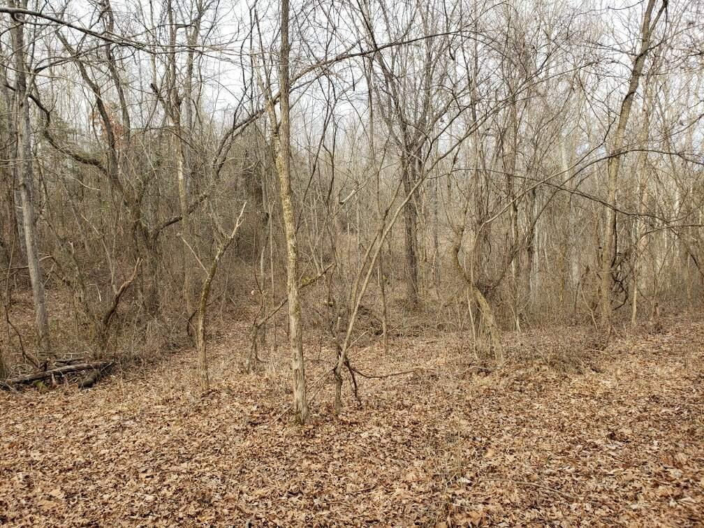 3 College Hill Road Waco, KY 40385 - Photo 15 of 16 lot