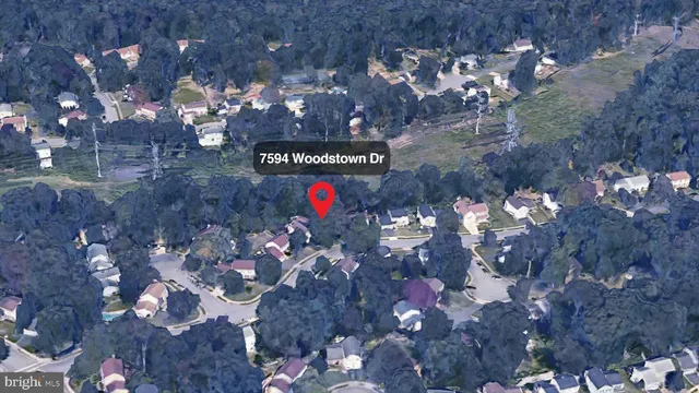 a view of a street with a tree