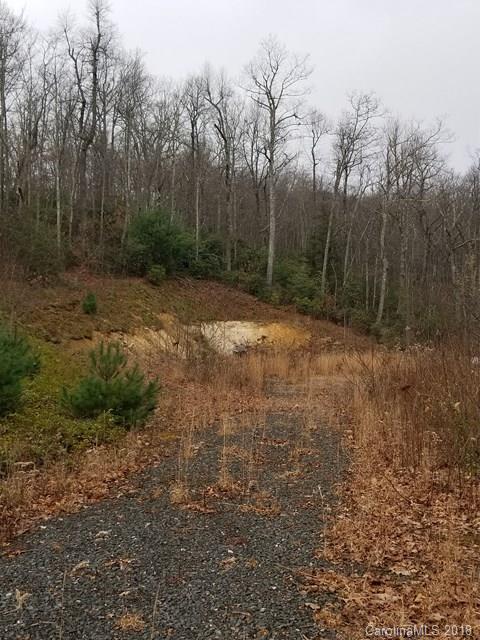 265 Walker Ridge Road Spruce Pine, NC 28777 - Photo 3 of 10 Gallery Image 3