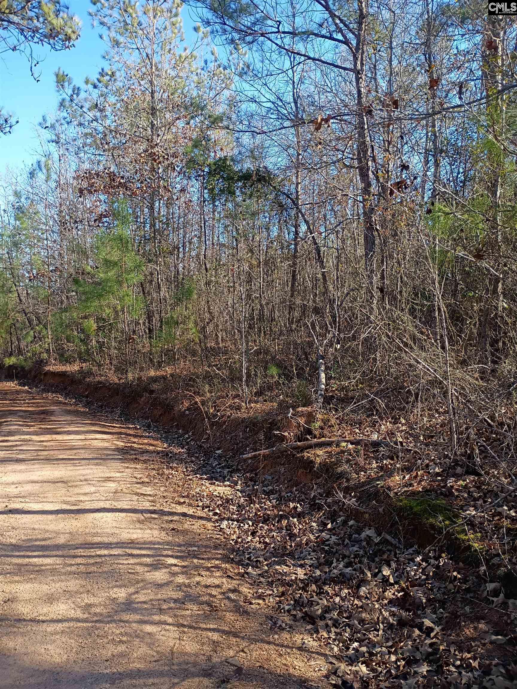 1164 Calvins Road Camden, SC 29020 - Photo 5 of 6
