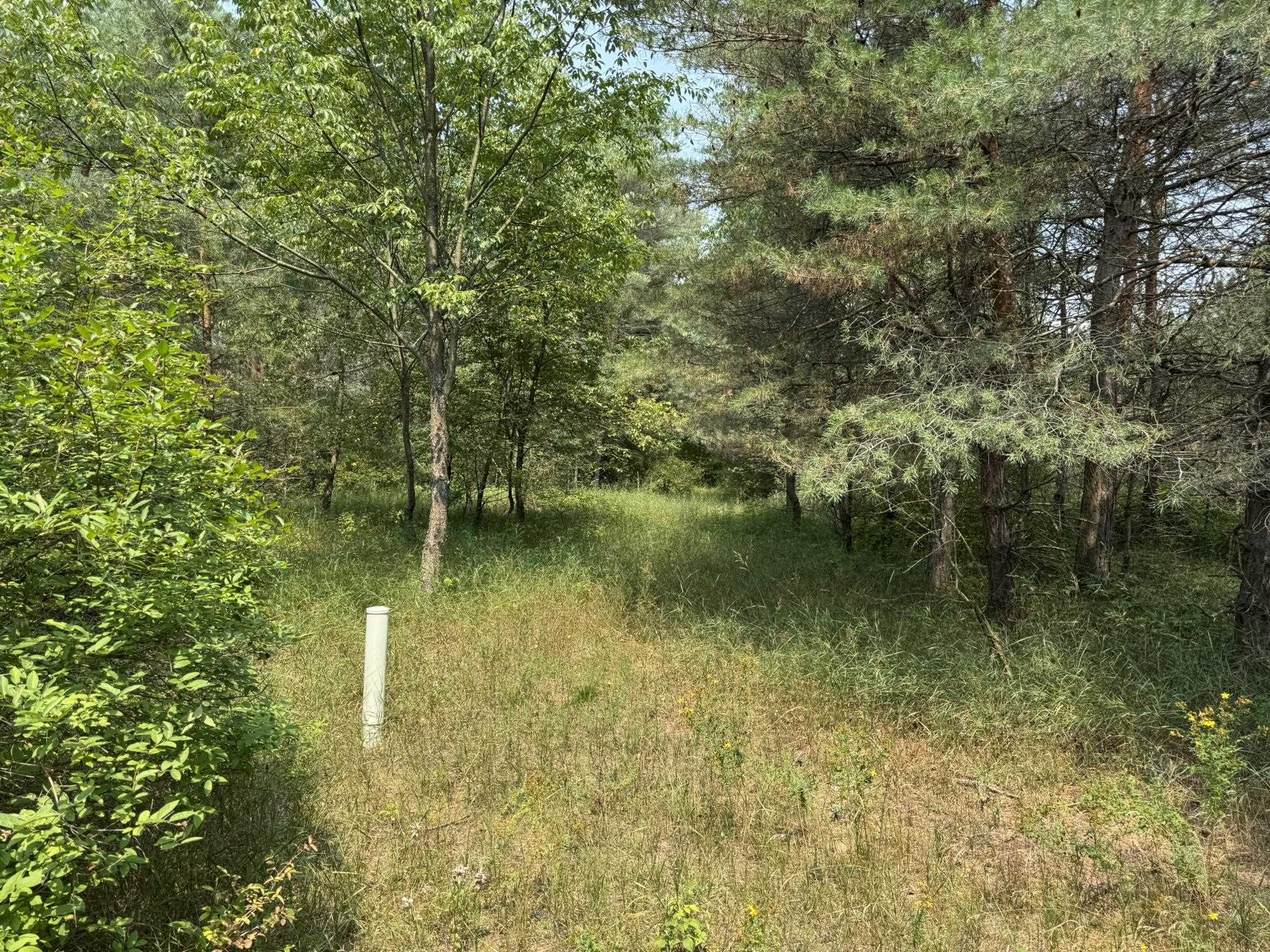 8590 Homestead Road Benzonia, MI 49616 - Photo 5 of 9 1949183-c45ad1ce-ff06-48c0-8320-866a3f270d4d.JPG