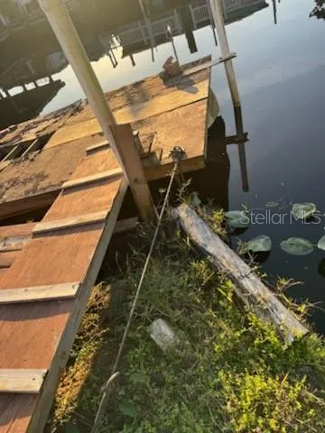 a view of flowers in a tree